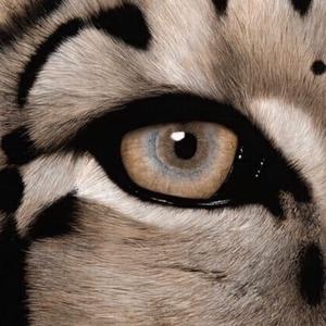 宁荣荣张开双腿被强❌游戏
